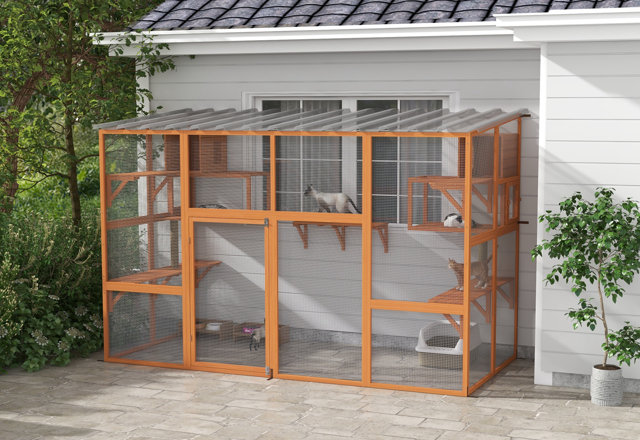 Outdoor Catios You'll Love